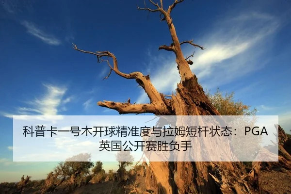 ke-pu-ka-yi-hao-mu-kai-qiu-jing-zhun-du-yu-la-mu-duan-gan-zhuang-tai-ying-guo-gong-kai-sai-sheng-fu-shou-2-334.jpg