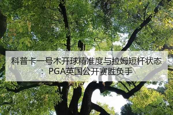 科普卡一号木开球精准度与拉姆短杆状态：PGA英国公开赛胜负手