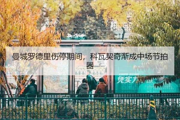 man-cheng-luo-de-li-shang-ting-qi-jian-ke-wa-qi-qi-jian-cheng-zhong-chang-jie-pai-qi-3-518.jpg