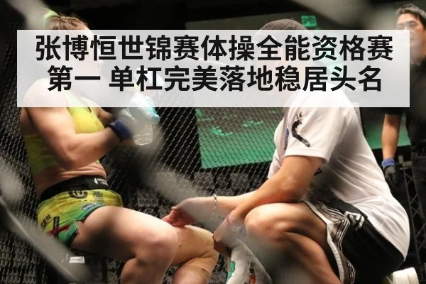 张博恒世锦赛体操全能资格赛第一 单杠完美落地稳居头名